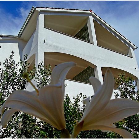 וודיצה Apartments Purkovic מראה חיצוני תמונה