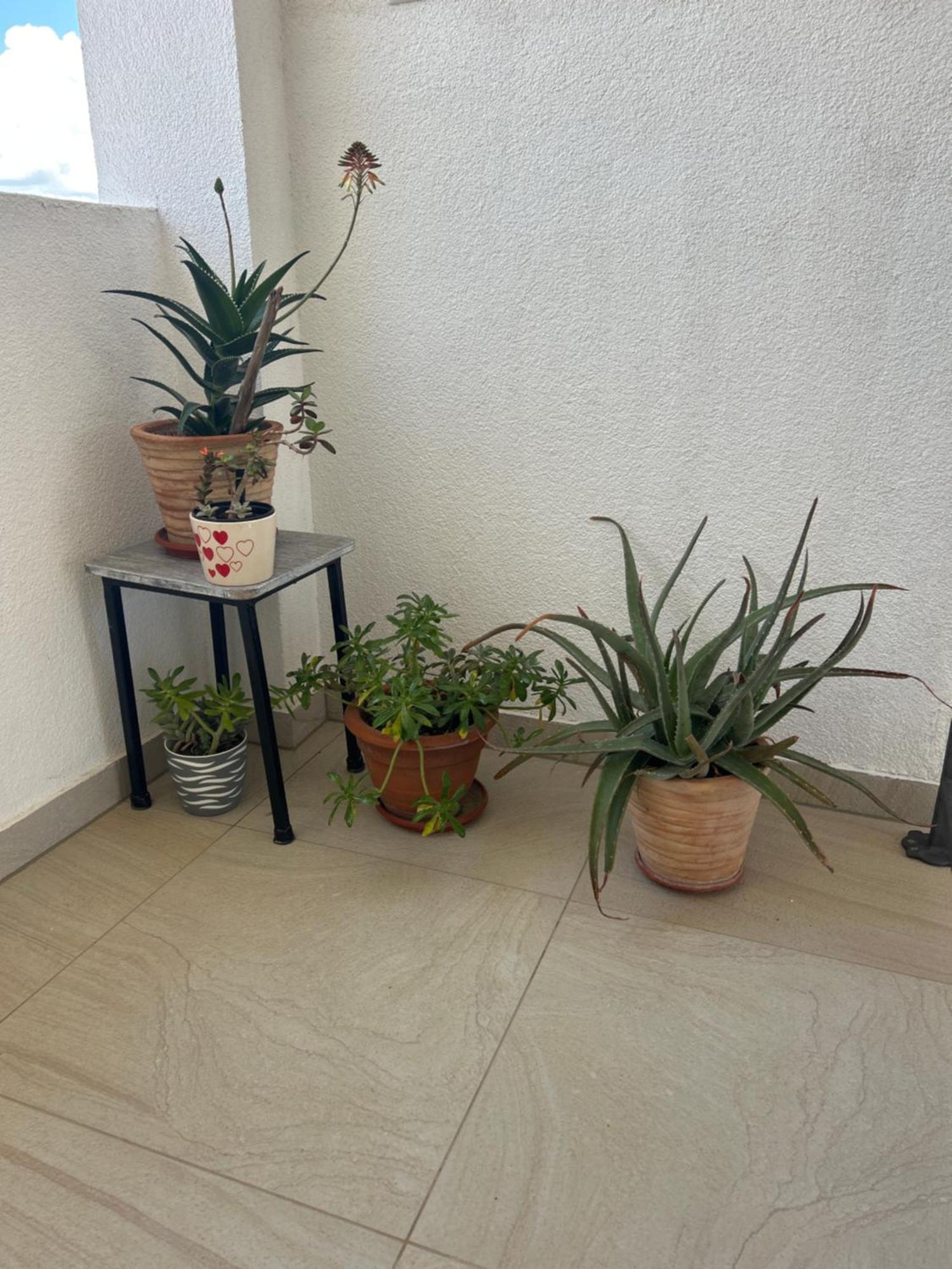 וודיצה Apartments Purkovic מראה חיצוני תמונה