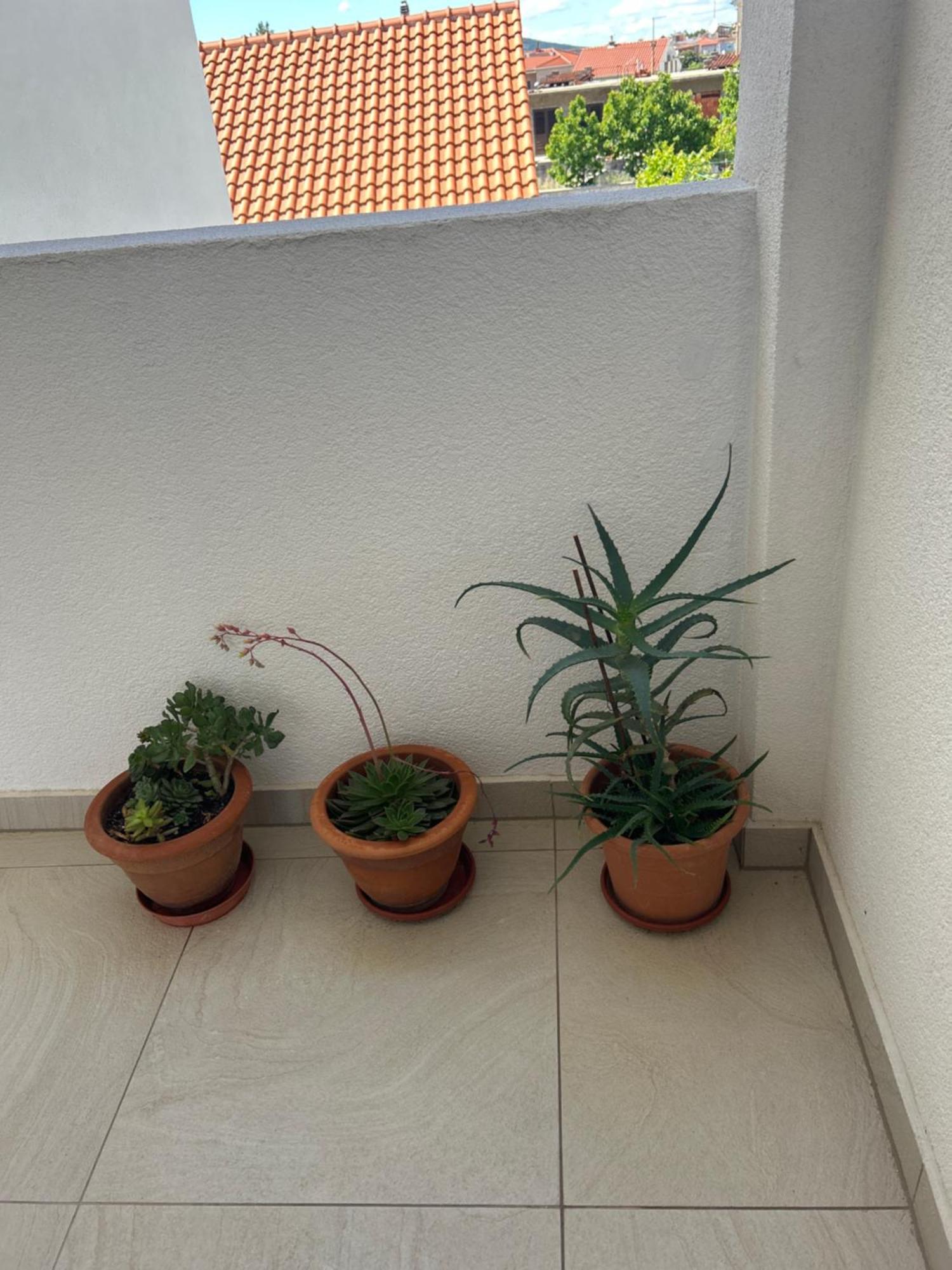 וודיצה Apartments Purkovic מראה חיצוני תמונה