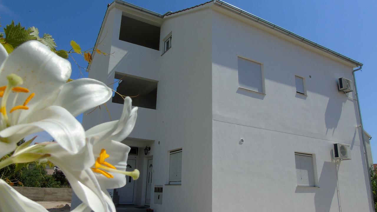 וודיצה Apartments Purkovic מראה חיצוני תמונה
